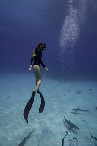 Competitive free diver Ashleigh by Michael Dornellas 